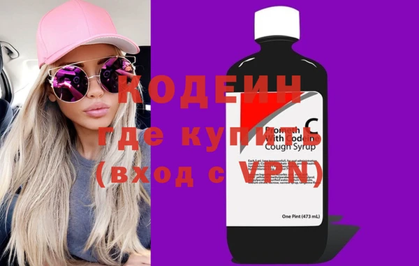 хмурый Бородино