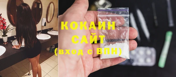 прущие грибы Балабаново