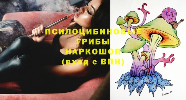 хмурый Бородино
