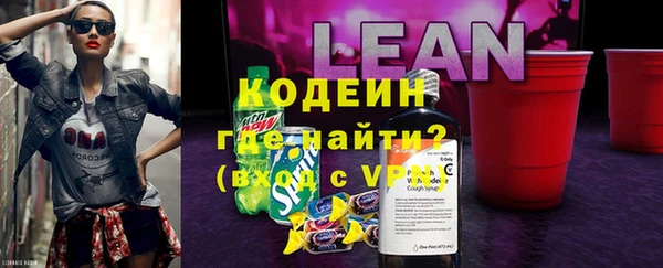 хмурый Бородино