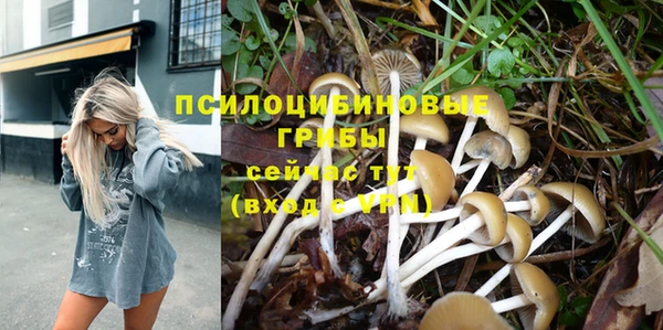 бутират Бугульма