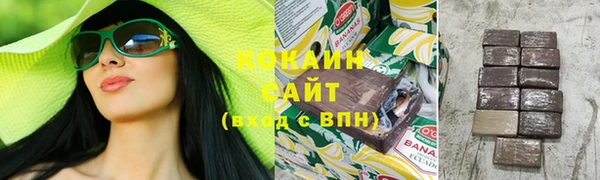 хмурый Бородино
